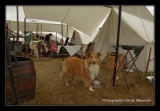 Campement de chercheur d or